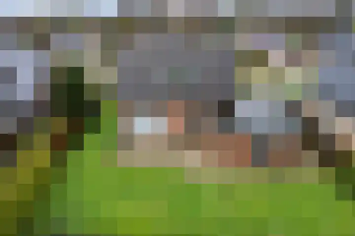 De Nachtegaal 11 Surhuisterveen thumbnail 38