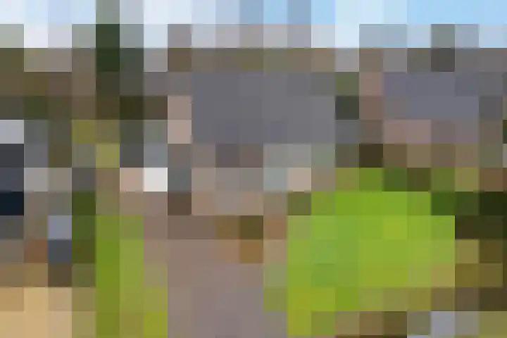 De Nachtegaal 11 Surhuisterveen thumbnail 41