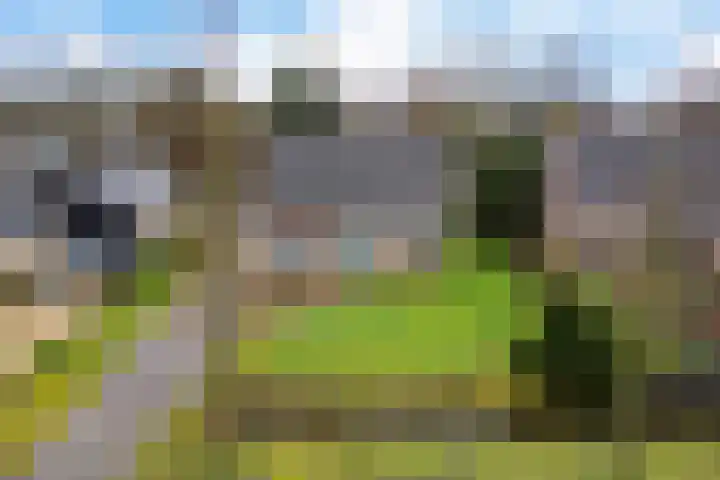De Nachtegaal 11 Surhuisterveen thumbnail 43