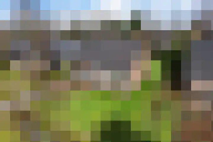 De Nachtegaal 11 Surhuisterveen thumbnail 44