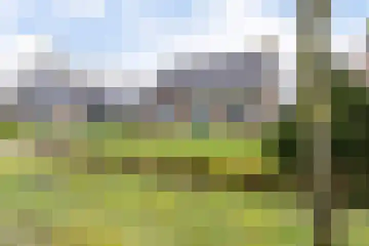 De Nachtegaal 11 Surhuisterveen thumbnail 45