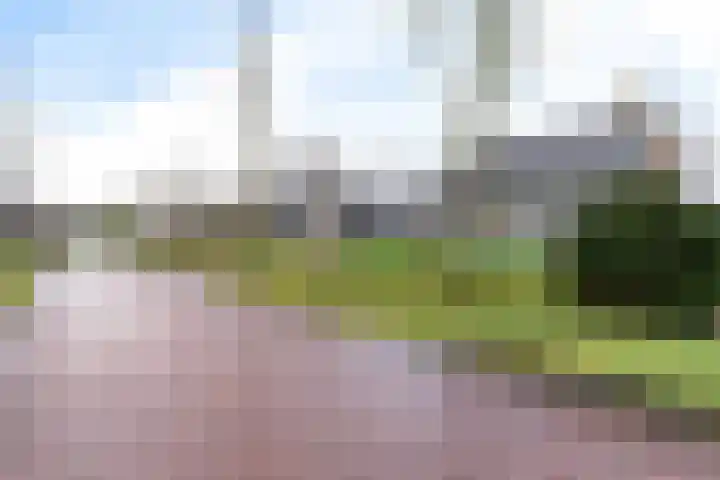 De Nachtegaal 11 Surhuisterveen thumbnail 46