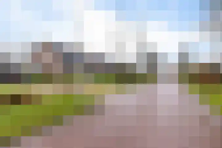 De Nachtegaal 11 Surhuisterveen thumbnail 47