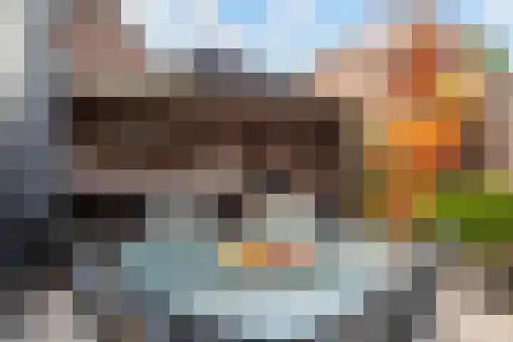 De Nachtegaal 13 Warnsveld thumbnail 6