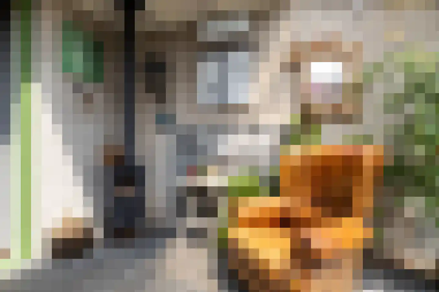 De Nachtpauw 11 Almelo thumbnail 20