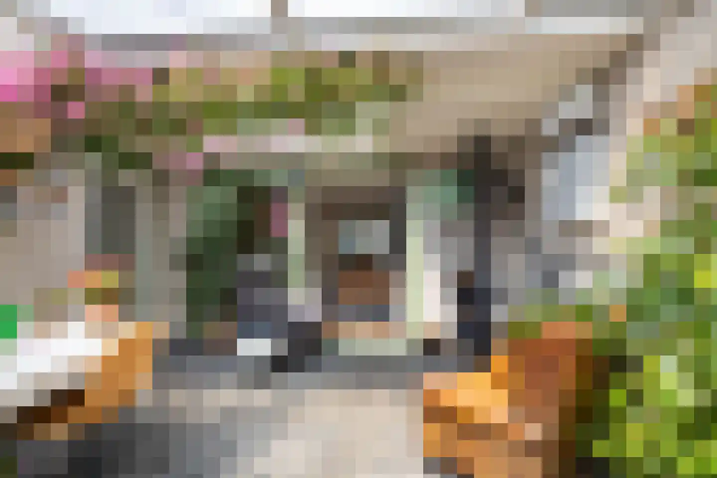De Nachtpauw 11 Almelo thumbnail 21