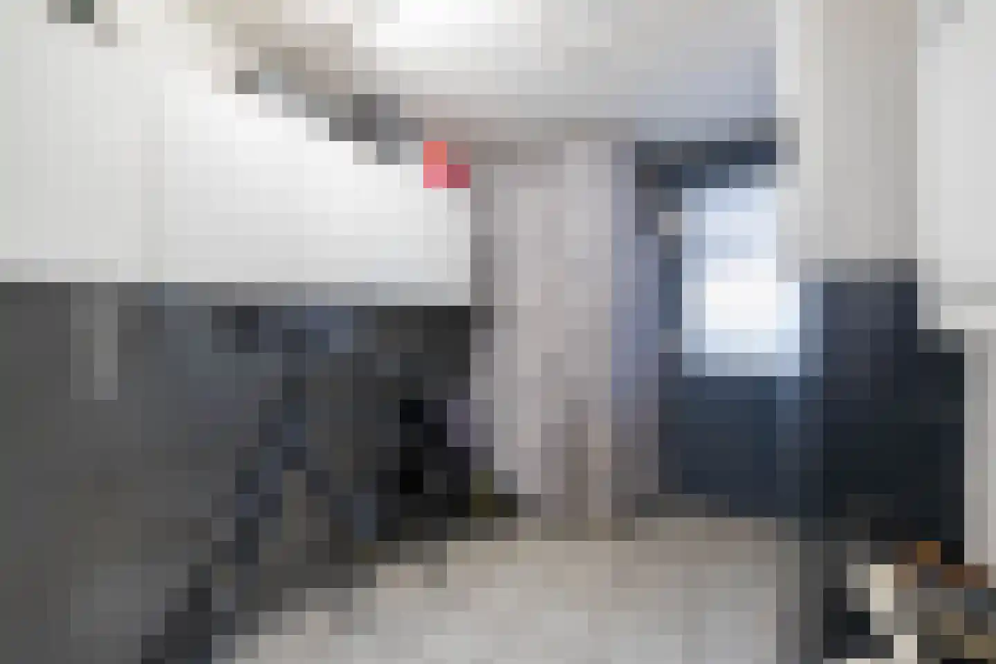 De Nachtpauw 11 Almelo thumbnail 23