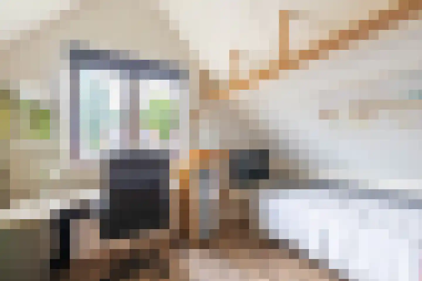 De Nachtpauw 11 Almelo thumbnail 24