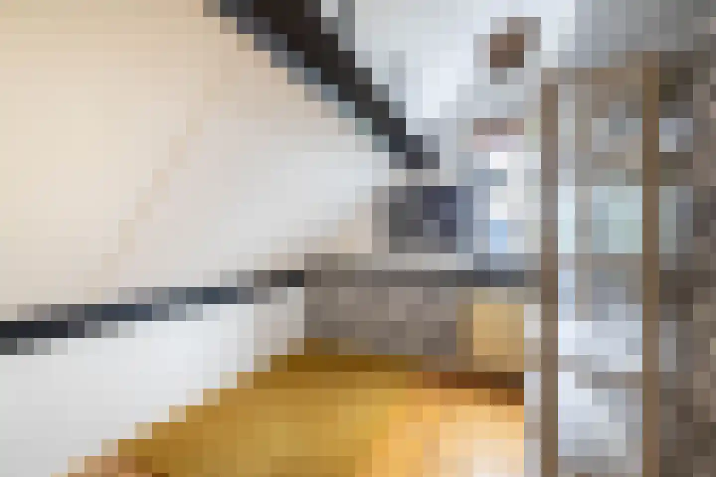 De Nachtpauw 11 Almelo thumbnail 29