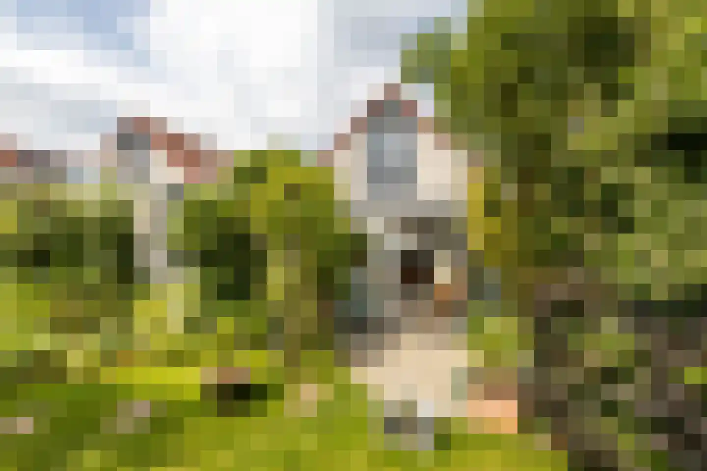 De Nachtpauw 11 Almelo thumbnail 30