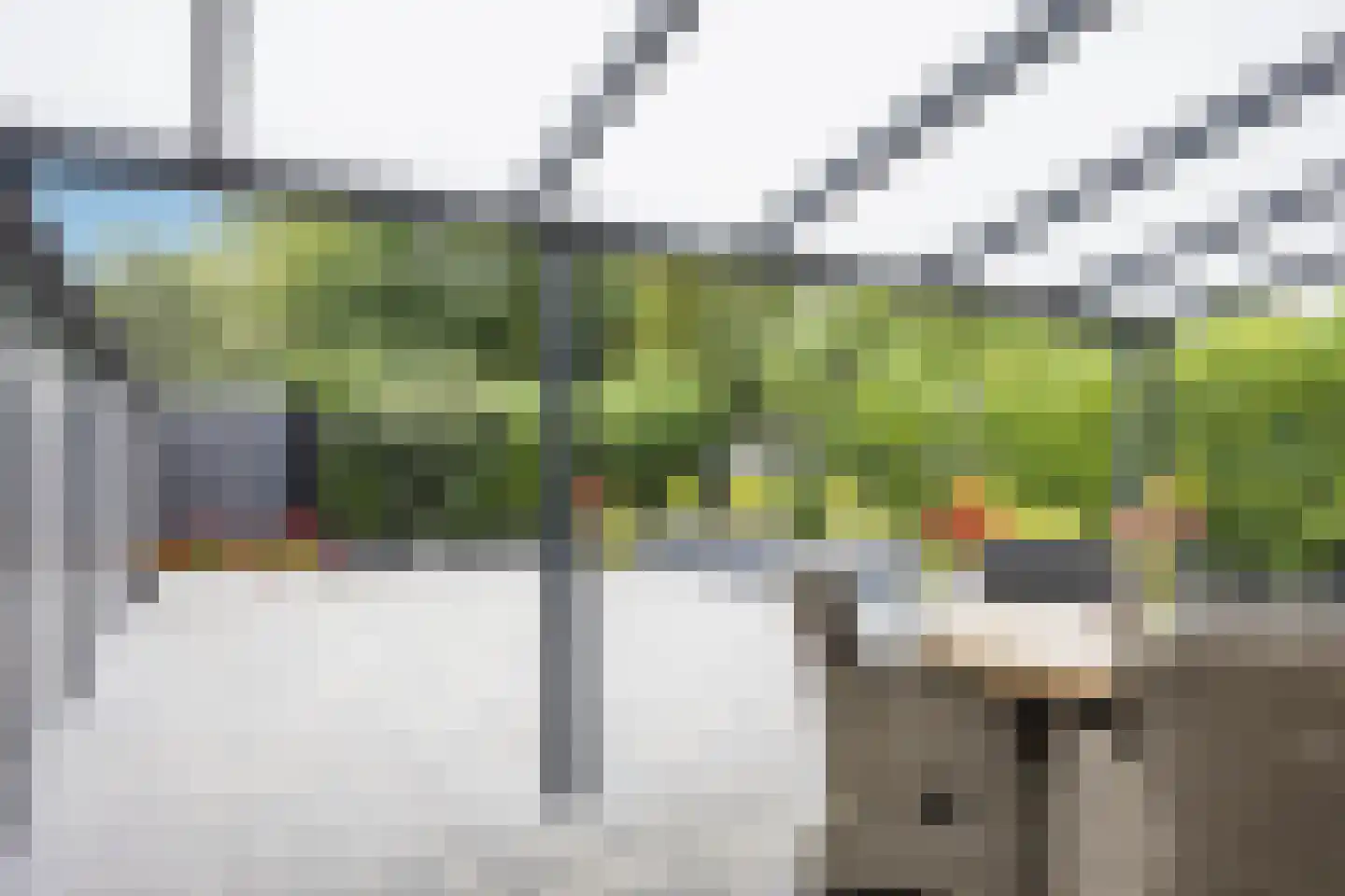 De Nachtuil 18 Almelo thumbnail 23
