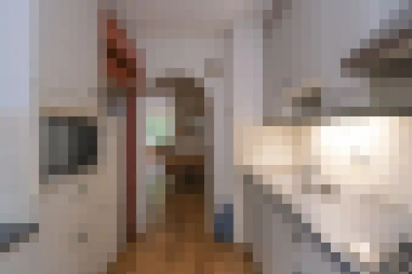 De Nachtuil 2 Almelo thumbnail 10