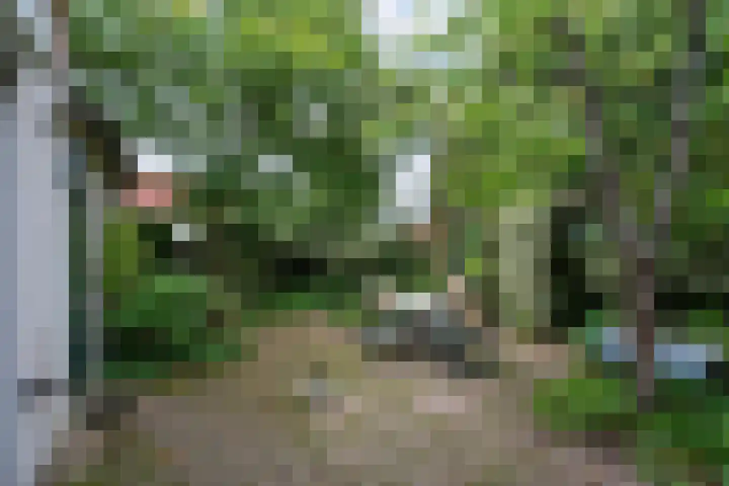De Nachtuil 2 Almelo thumbnail 24