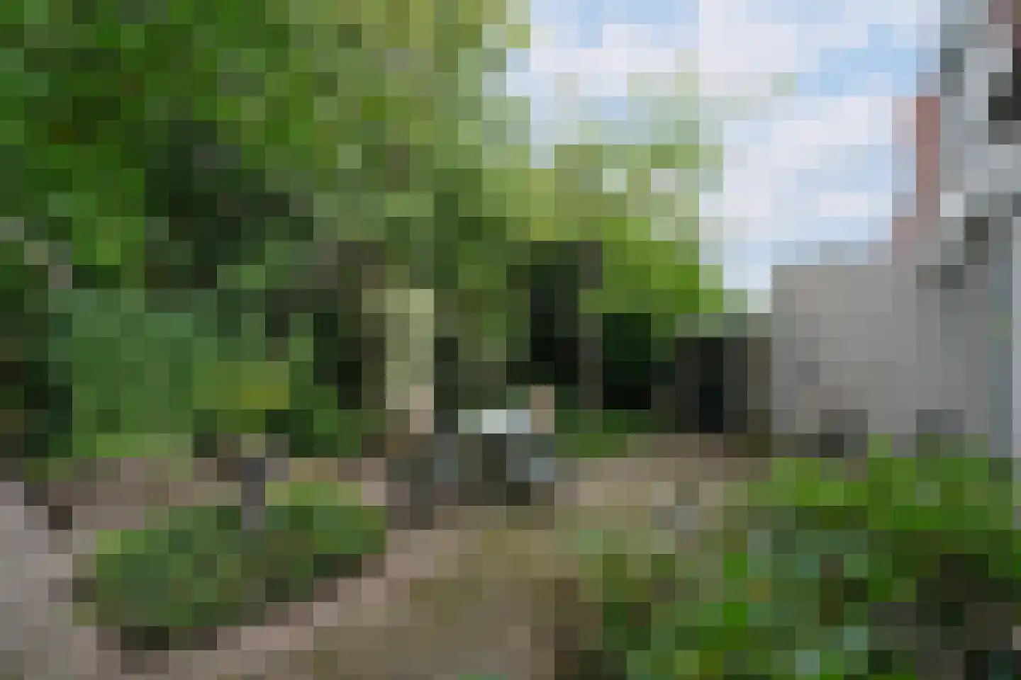 De Nachtuil 2 Almelo thumbnail 25