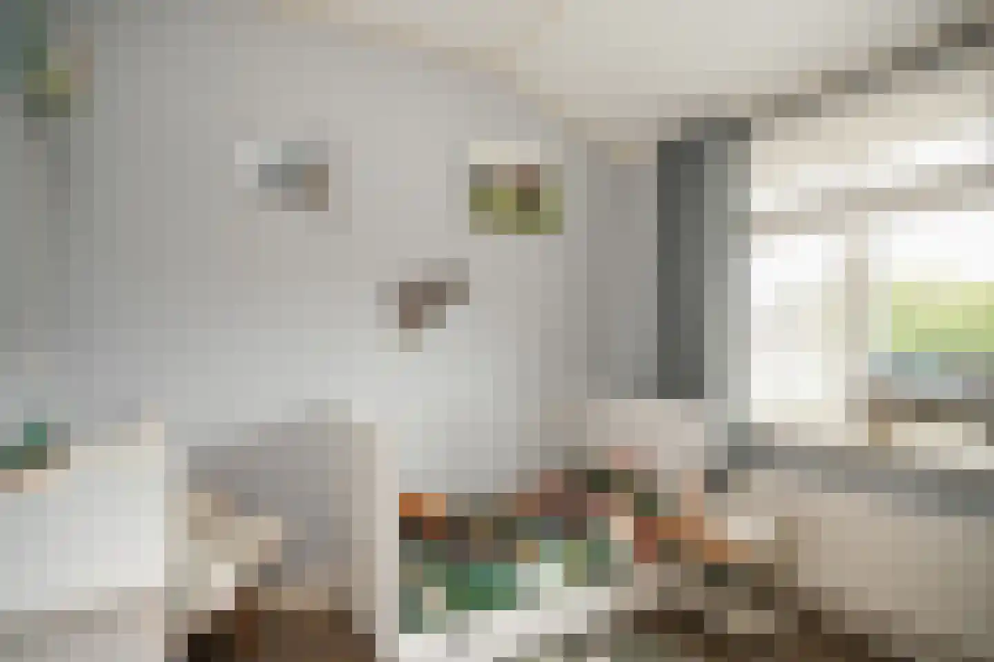 De Nagraaf 10 Lienden thumbnail 19