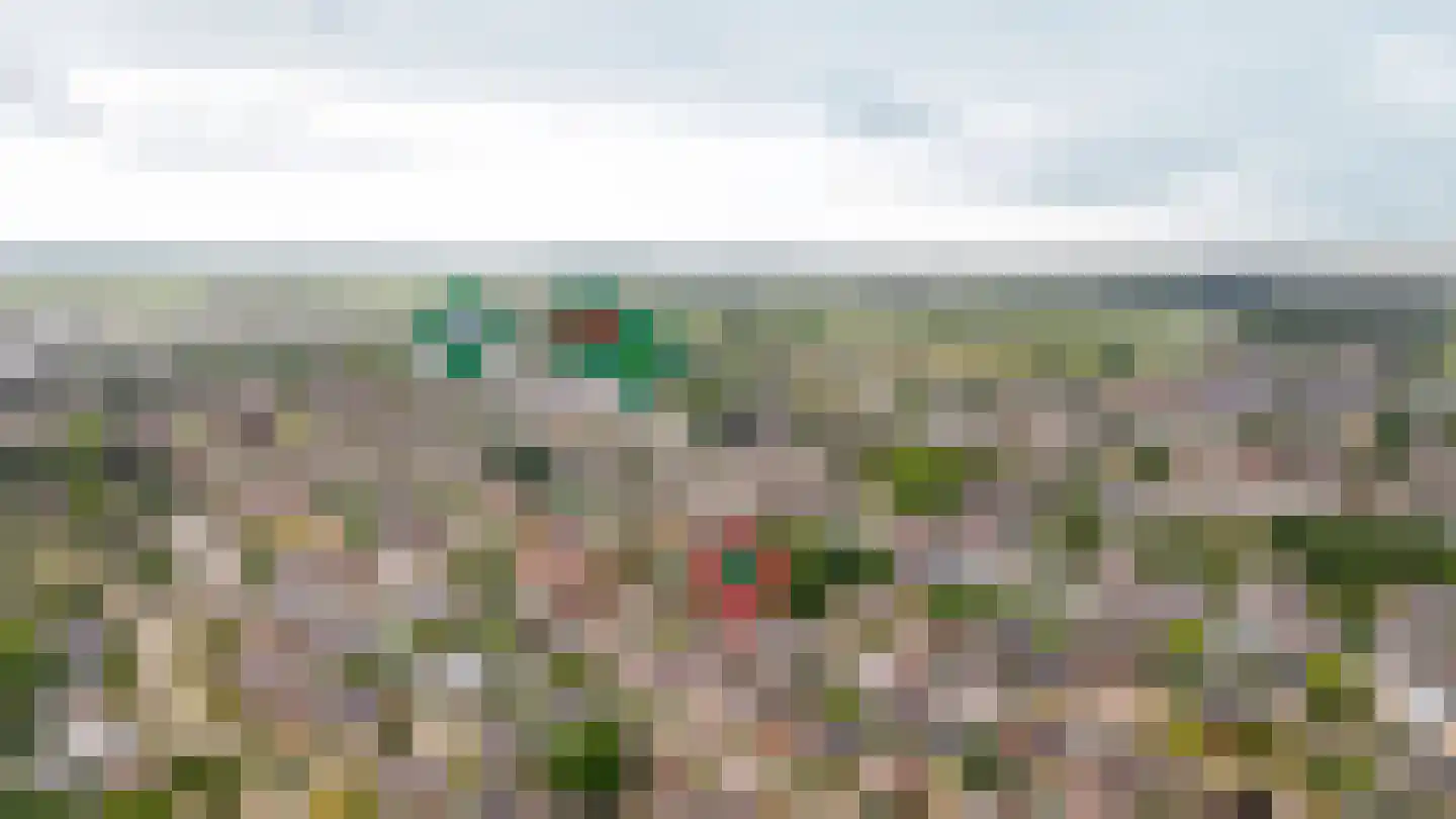De Nagraaf 10 Lienden thumbnail 33