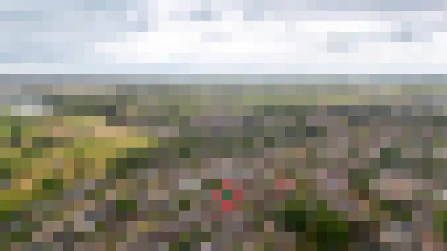 De Nagraaf 10 Lienden thumbnail 34