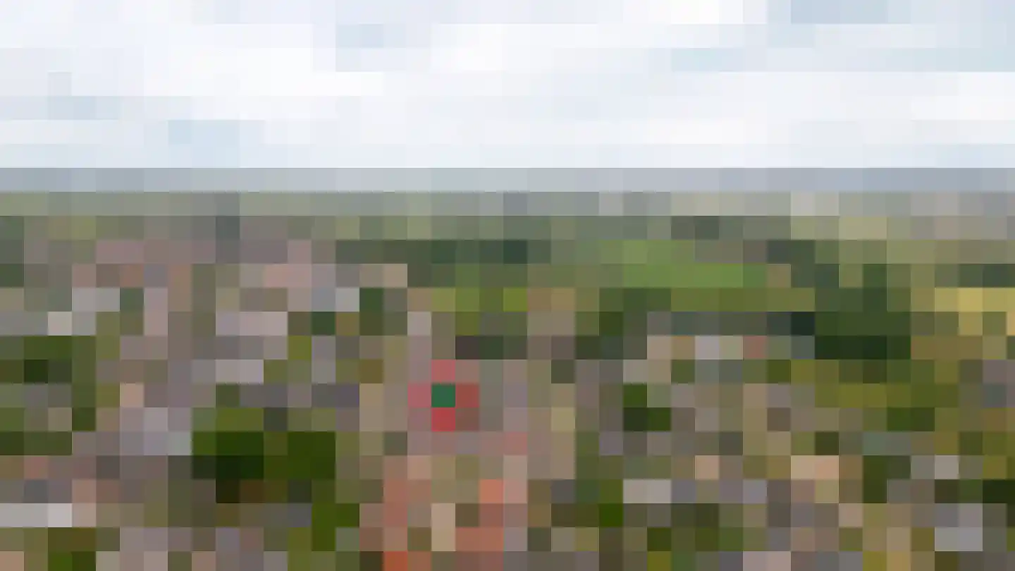 De Nagraaf 10 Lienden thumbnail 35