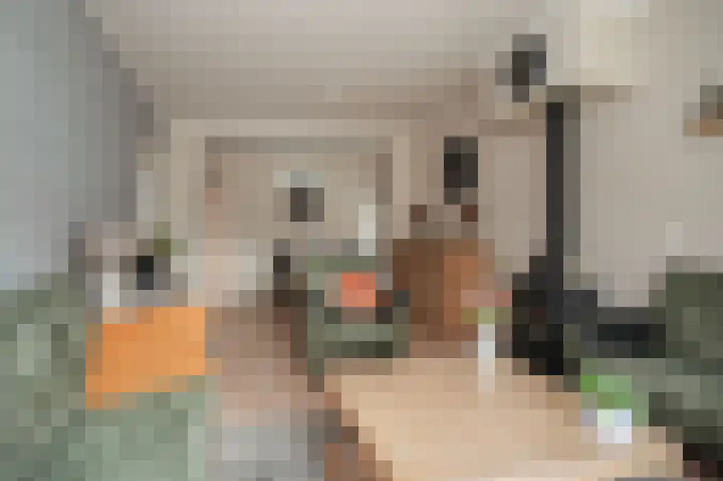 De Nagraaf 10 Lienden thumbnail 5