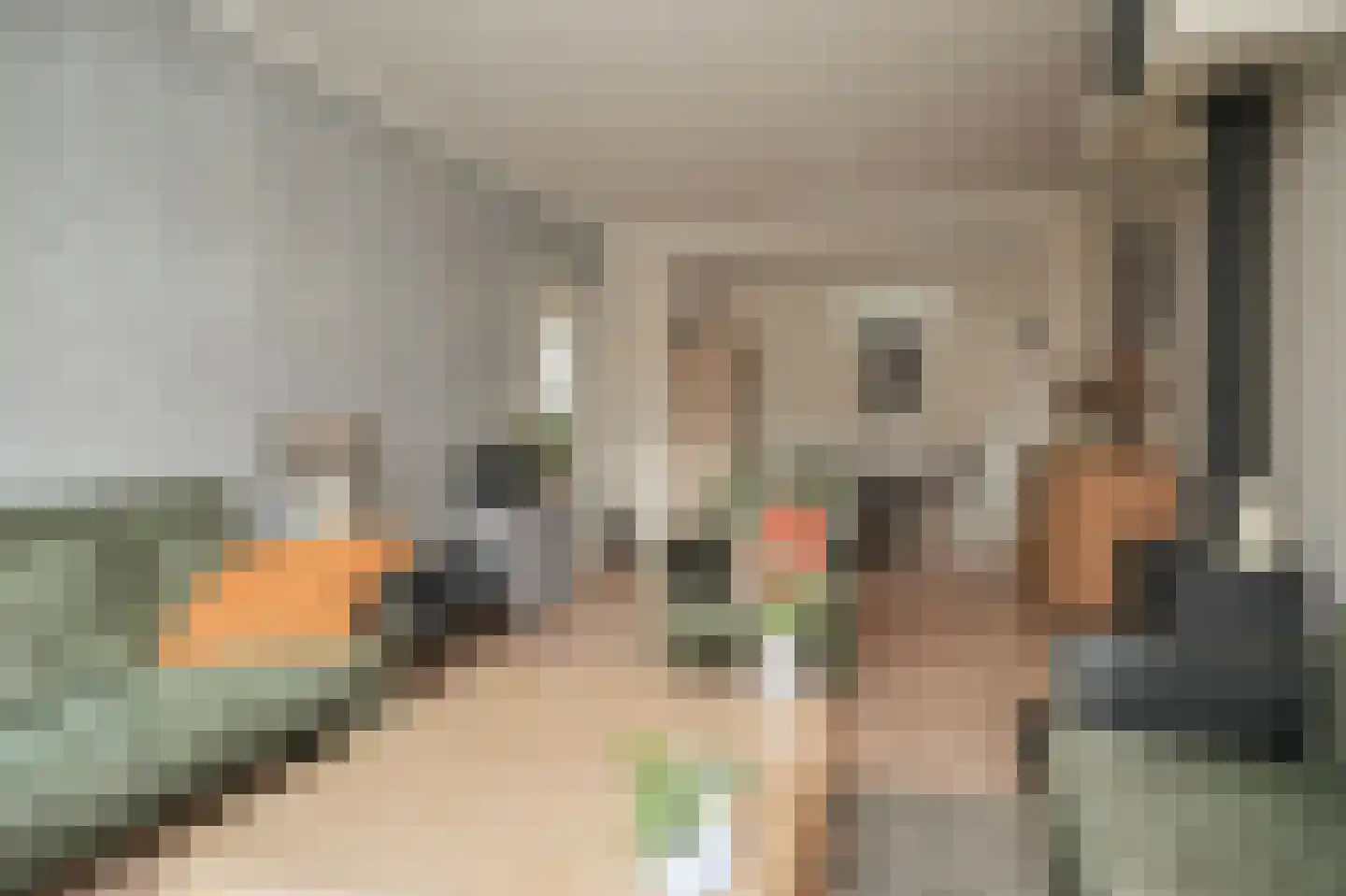 De Nagraaf 10 Lienden thumbnail 9
