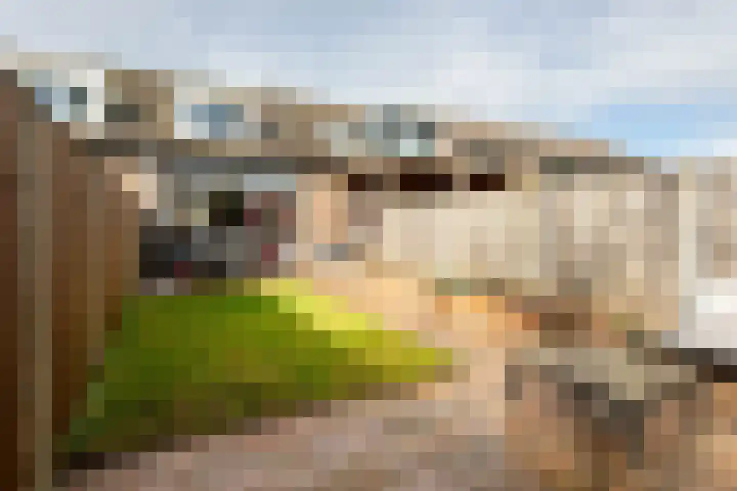 de Narcis 13 Hoogerheide thumbnail 23