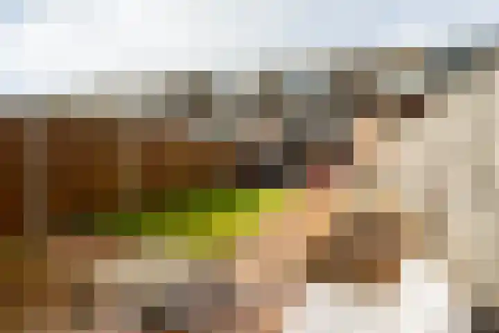 de Narcis 13 Hoogerheide thumbnail 24