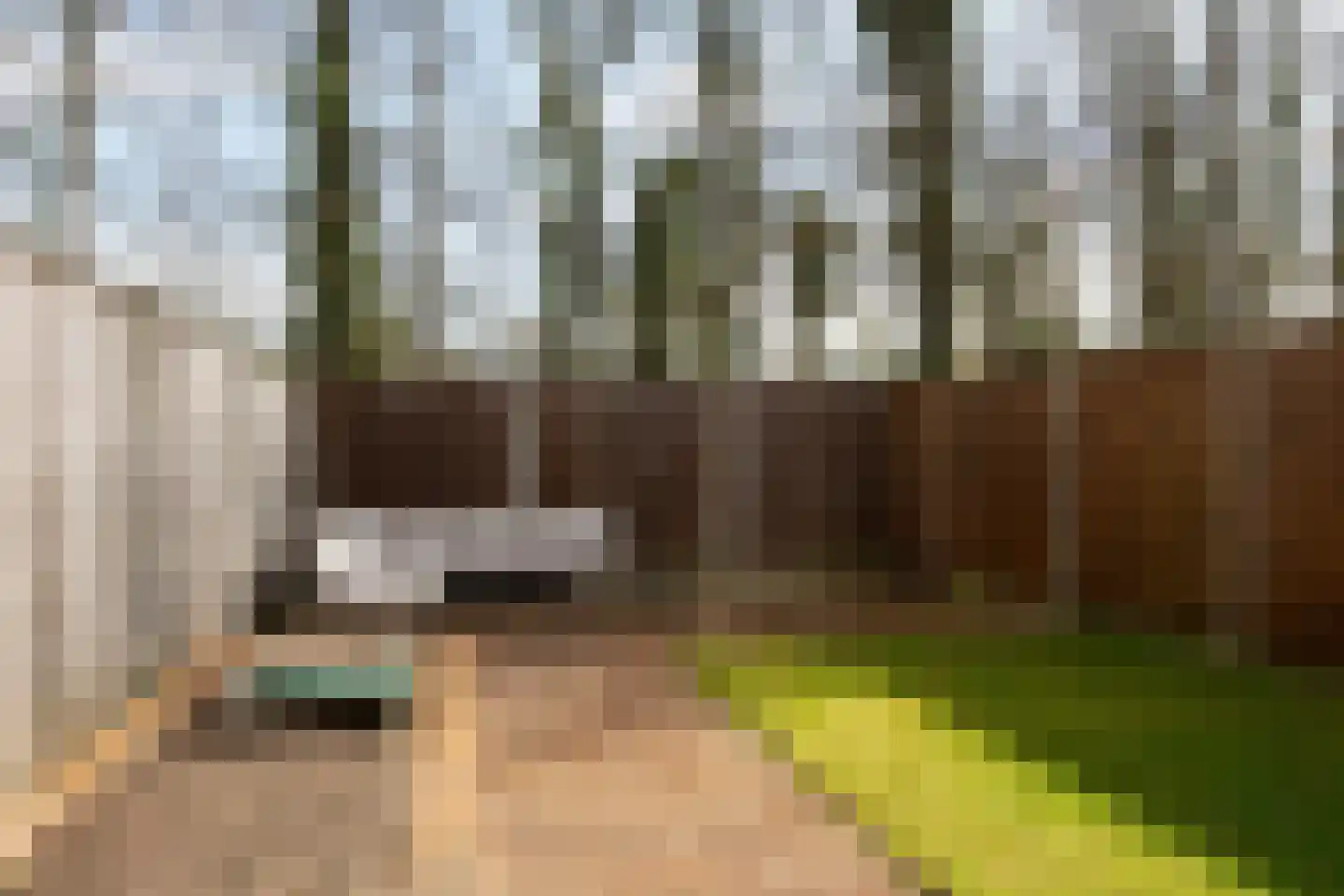 de Narcis 13 Hoogerheide thumbnail 26