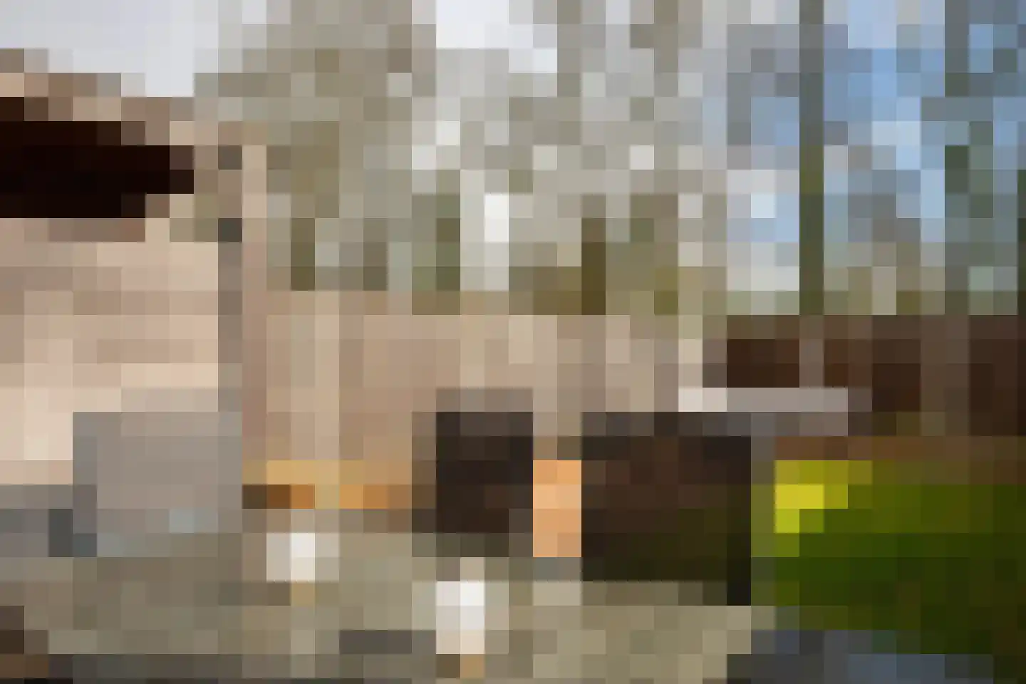 de Narcis 13 Hoogerheide thumbnail 27