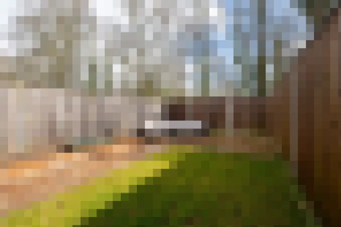 de Narcis 13 Hoogerheide thumbnail 28