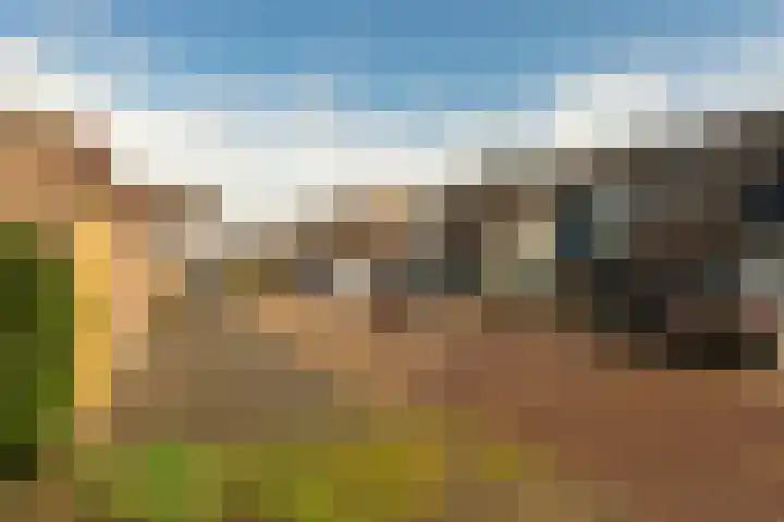 de Narcis 13 Hoogerheide thumbnail 32