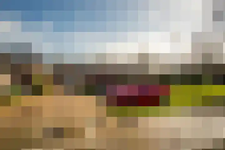de Narcis 13 Hoogerheide thumbnail 34