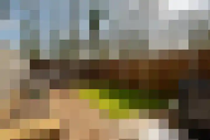 de Narcis 13 Hoogerheide thumbnail 5