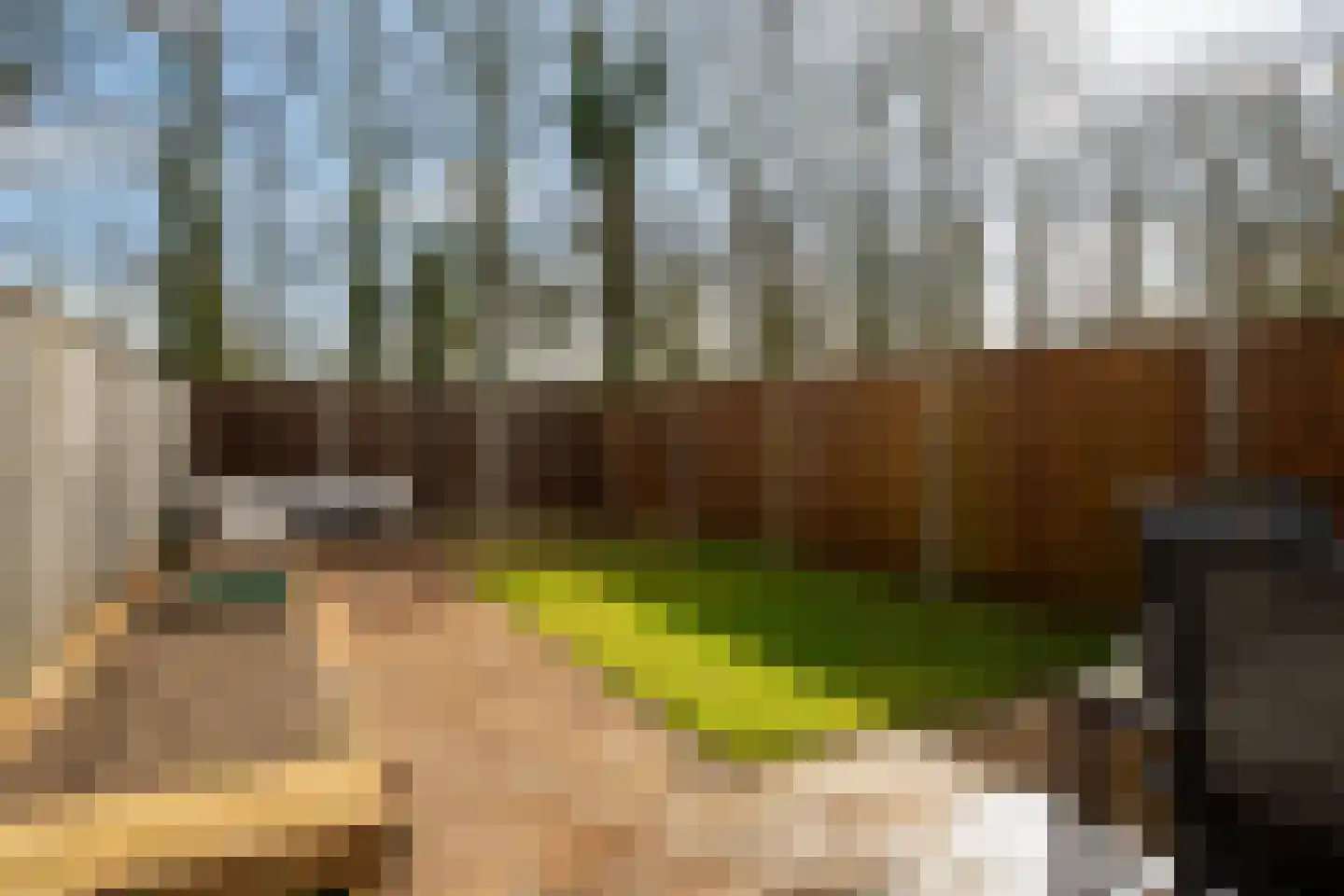 de Narcis 13 Hoogerheide thumbnail 5
