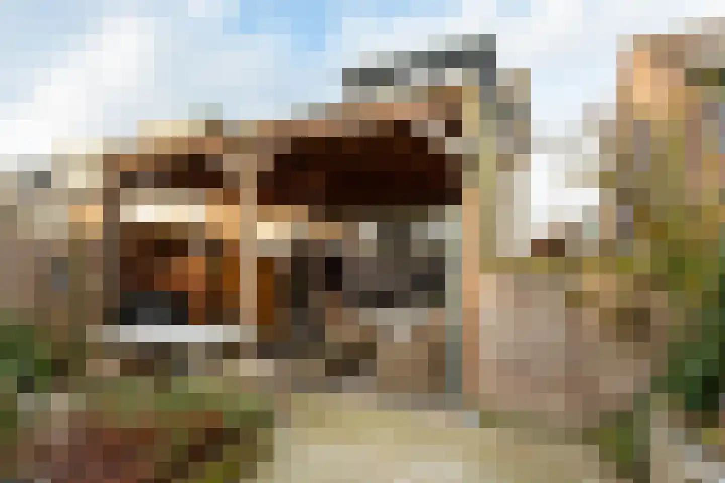 de Narcis 14 Hoogerheide thumbnail 22