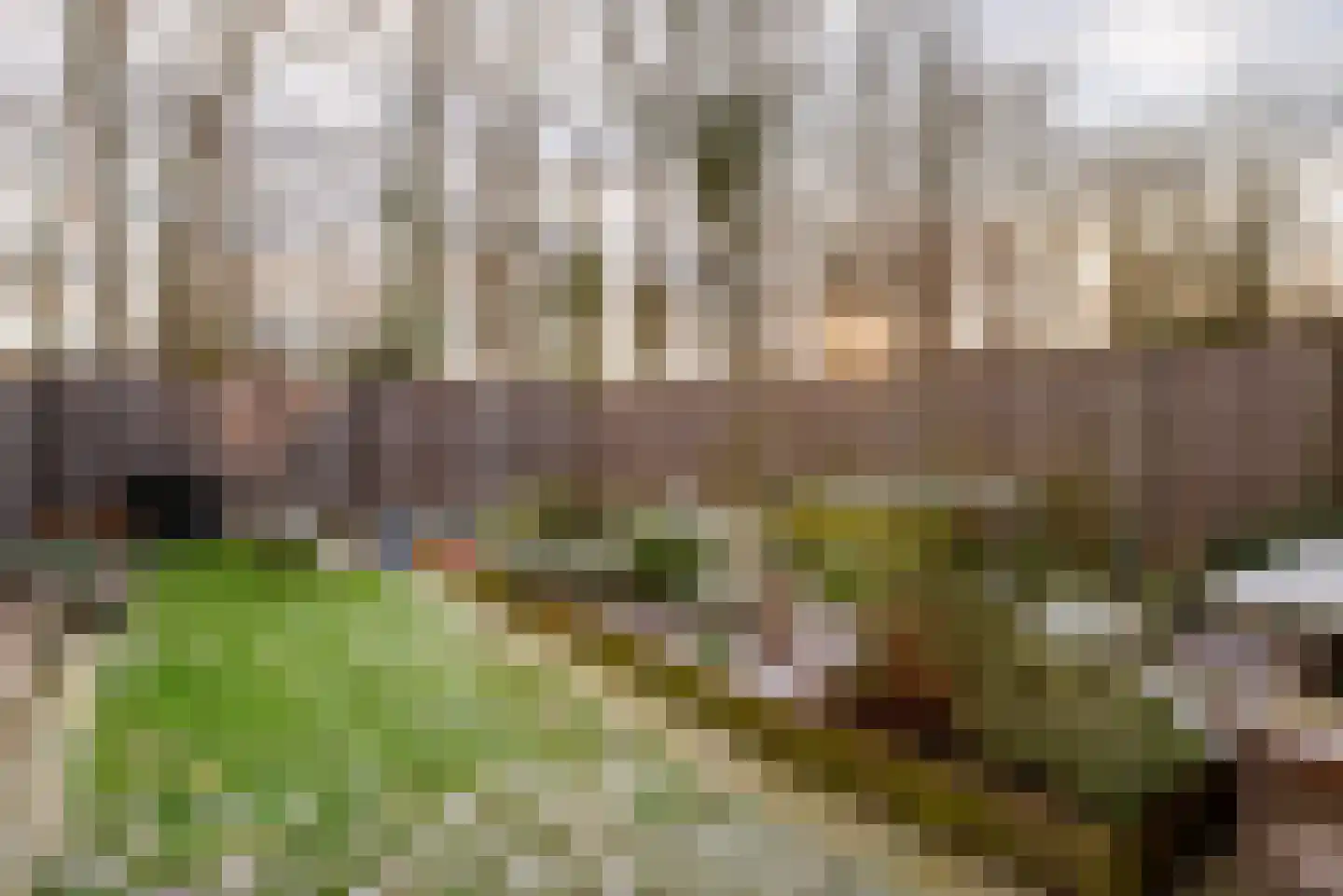 de Narcis 14 Hoogerheide thumbnail 23