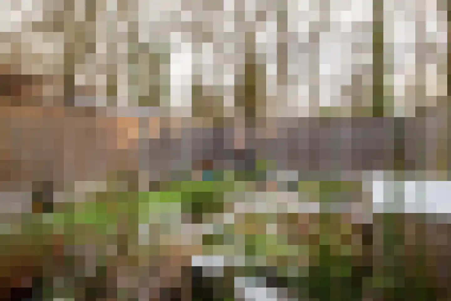 de Narcis 14 Hoogerheide thumbnail 24