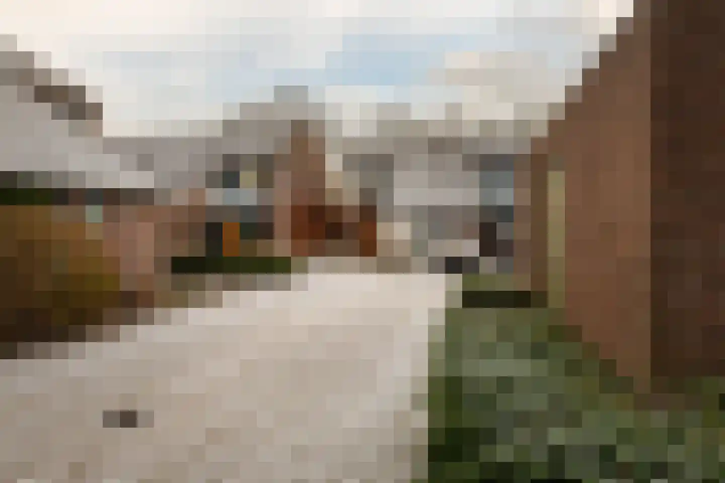 de Narcis 14 Hoogerheide thumbnail 29