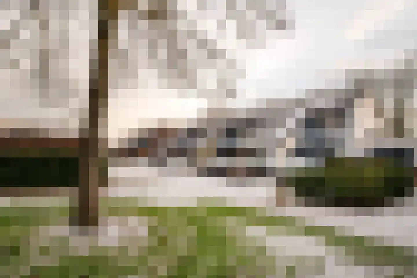 de Narcis 14 Hoogerheide thumbnail 31