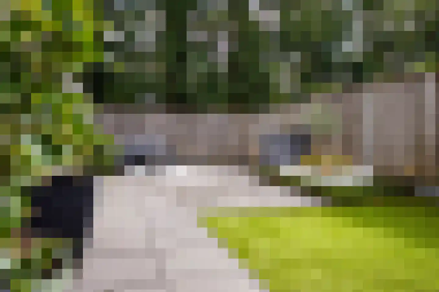de Narcis 17 Hoogerheide thumbnail 34