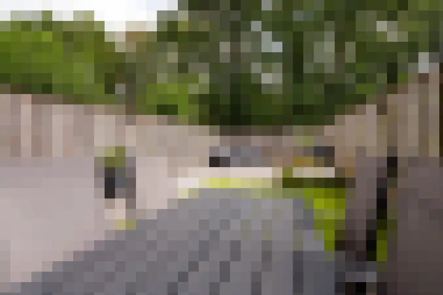 de Narcis 17 Hoogerheide thumbnail 35