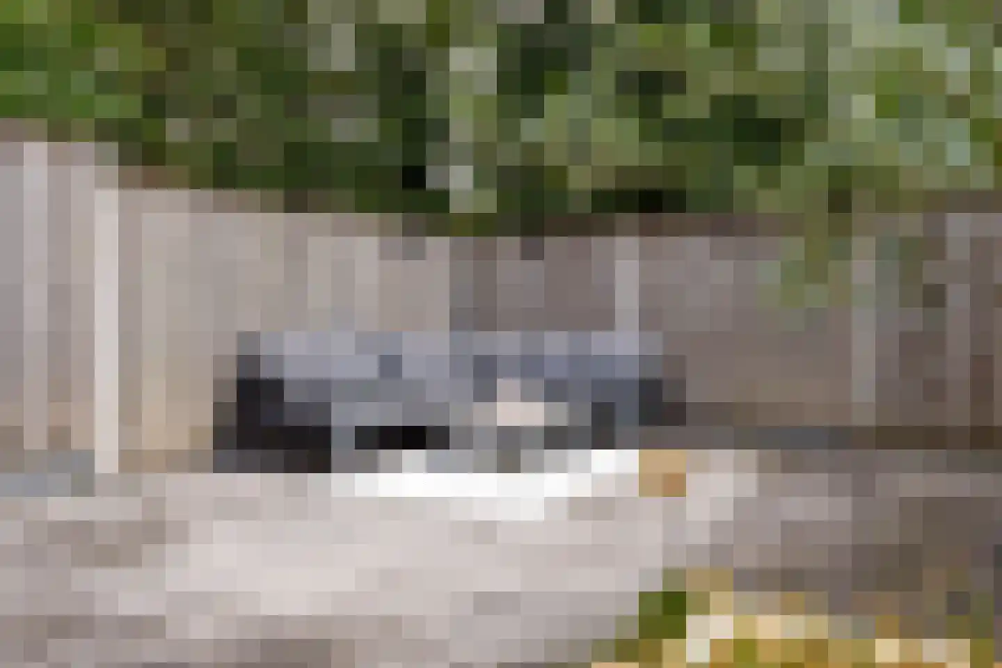 de Narcis 17 Hoogerheide thumbnail 36