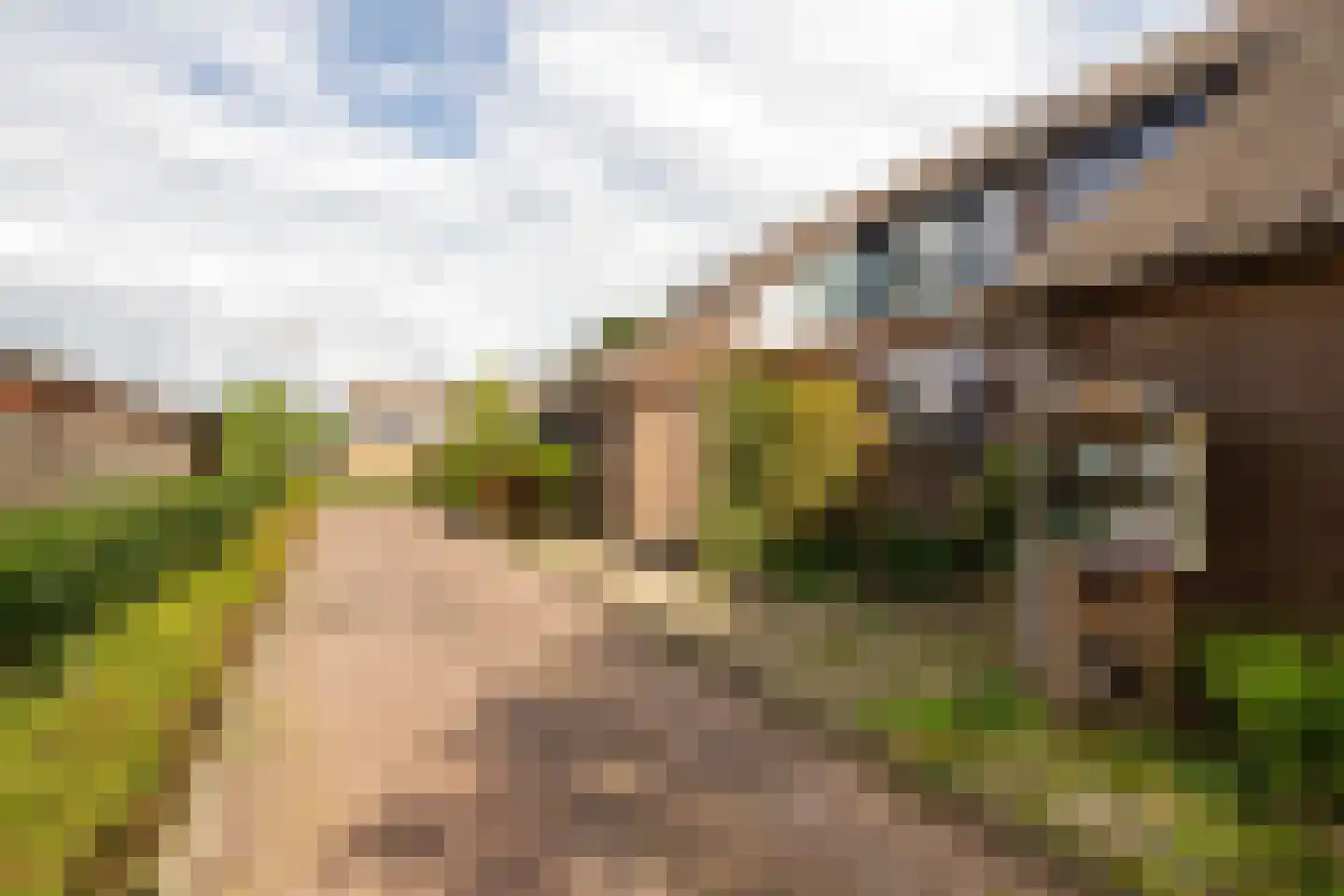 de Narcis 17 Hoogerheide thumbnail 40
