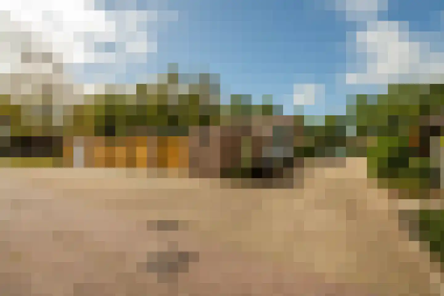 de Narcis 17 Hoogerheide thumbnail 42