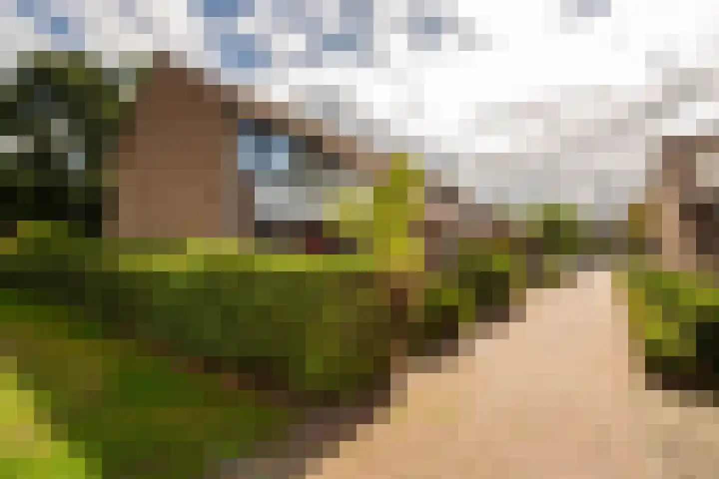de Narcis 17 Hoogerheide thumbnail 43