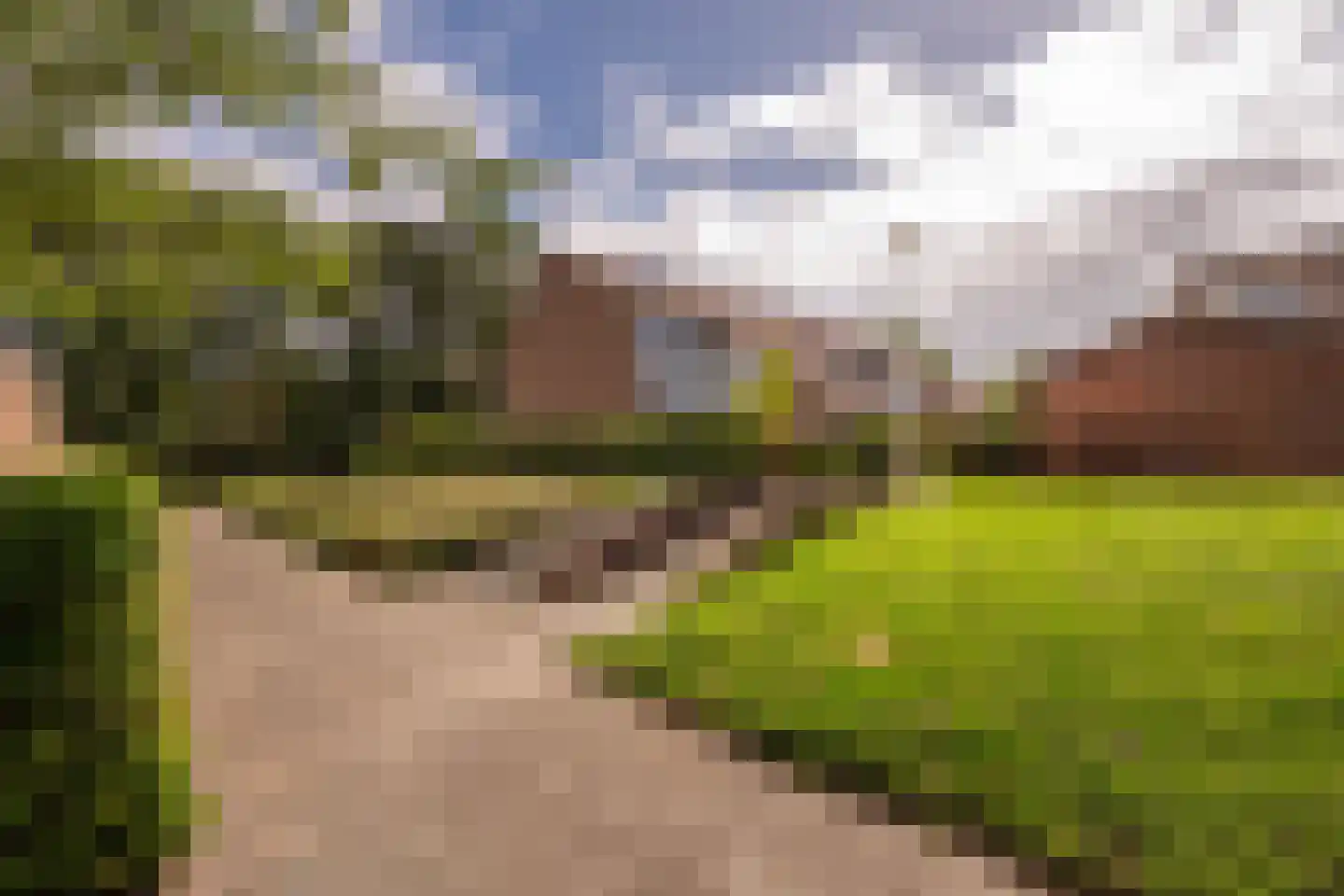 de Narcis 17 Hoogerheide thumbnail 44