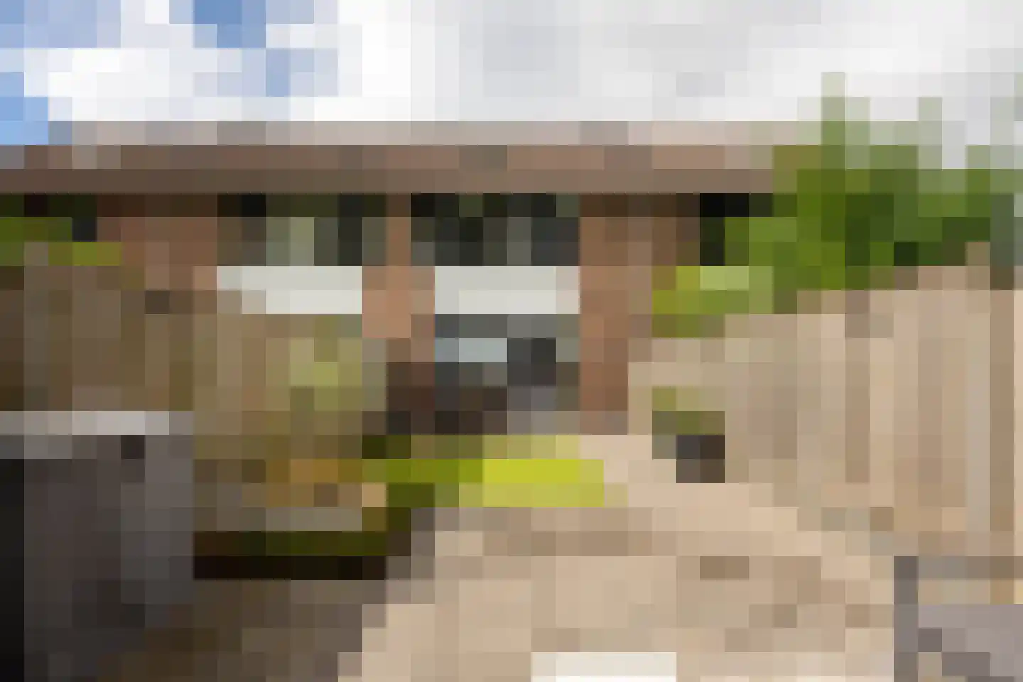 de Narcis 17 Hoogerheide thumbnail 5