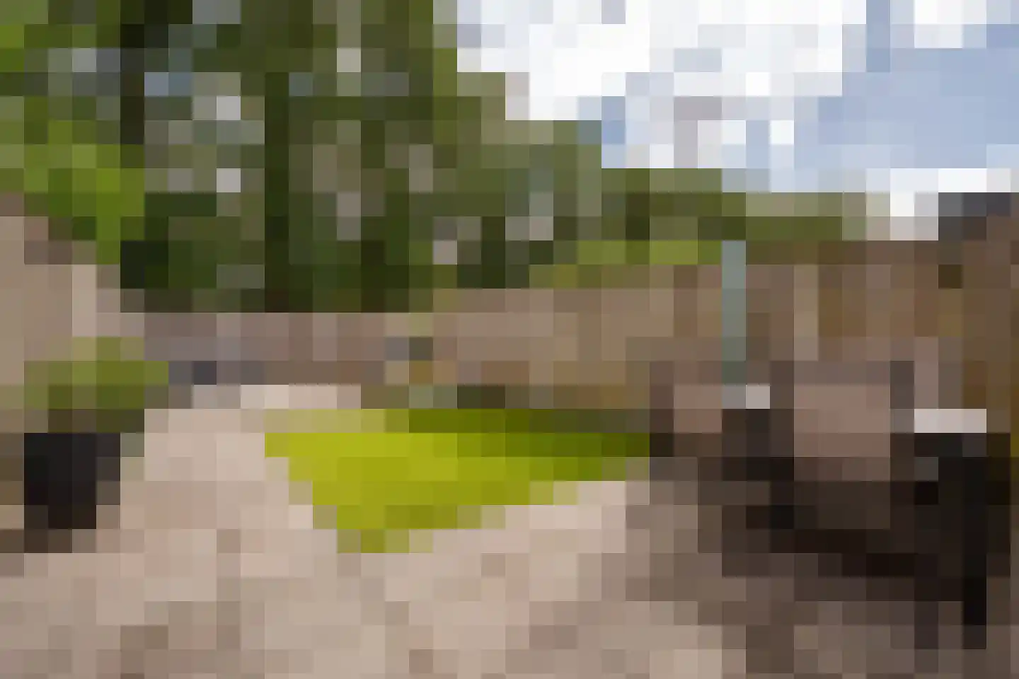 de Narcis 17 Hoogerheide thumbnail 6