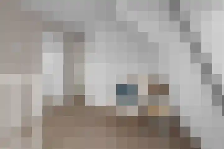 de Nederlanden 16 Noord-Scharwoude thumbnail 30