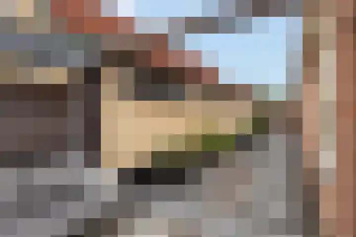 de Nederlanden 16 Noord-Scharwoude thumbnail 45