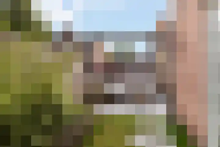 de Nederlanden 16 Noord-Scharwoude thumbnail 47